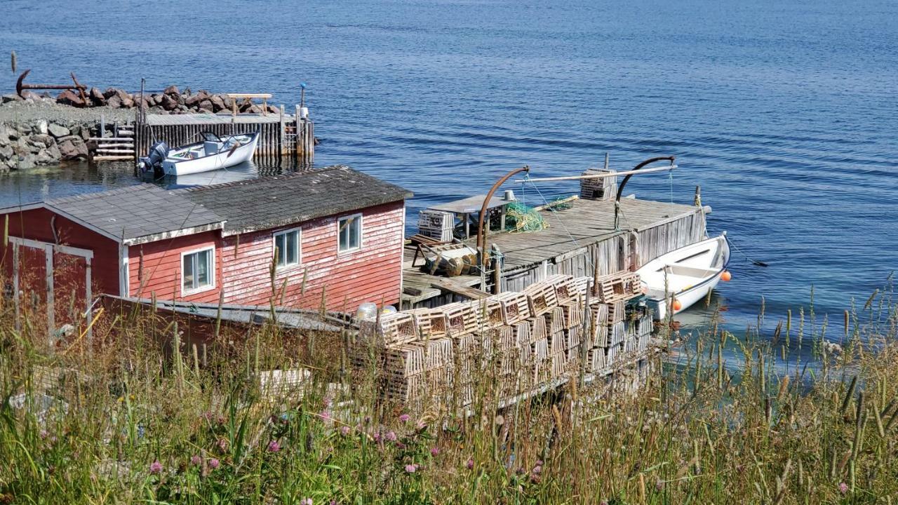 Hillside B&B Twillingate Exterior photo