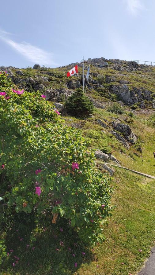 Hillside B&B Twillingate Exterior photo
